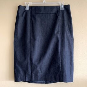 Ann Taylor LOFT Women’s Skirt